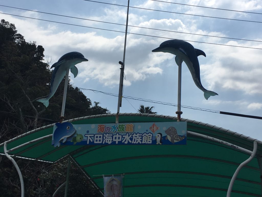 伊豆下田海中水族館