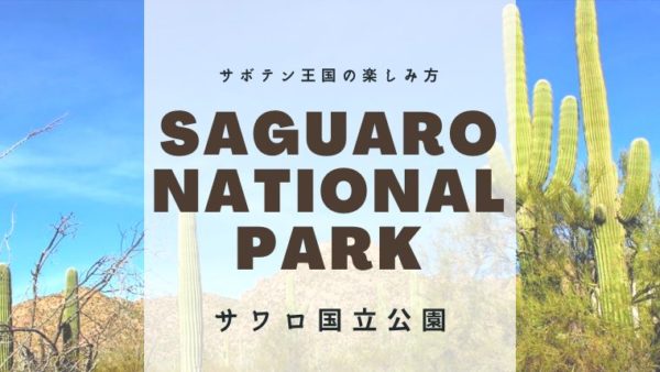 サワロ国立公園の楽しみ方【子連れ旅行記】