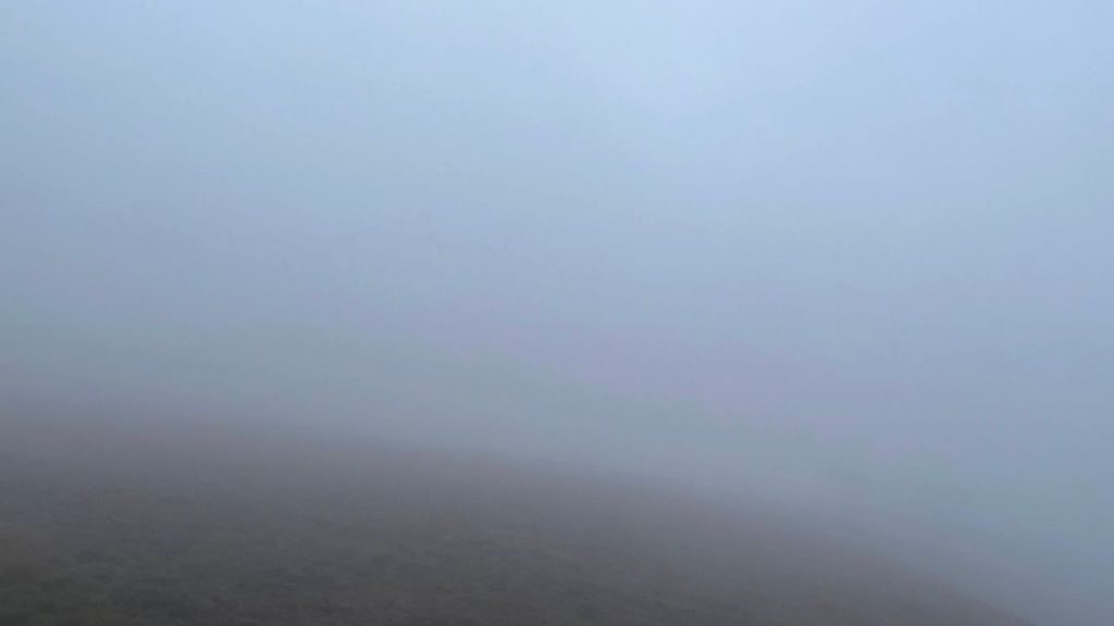 オリンピック国立公園ハリケーンリッジの霧